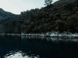 紅葉を楽しむ貸切湯がある静かな山宿はどこ？