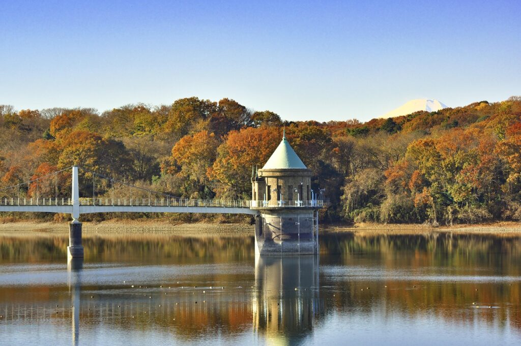 東京近郊の紅葉を楽しむ貸切湯デートのおすすめプランは？