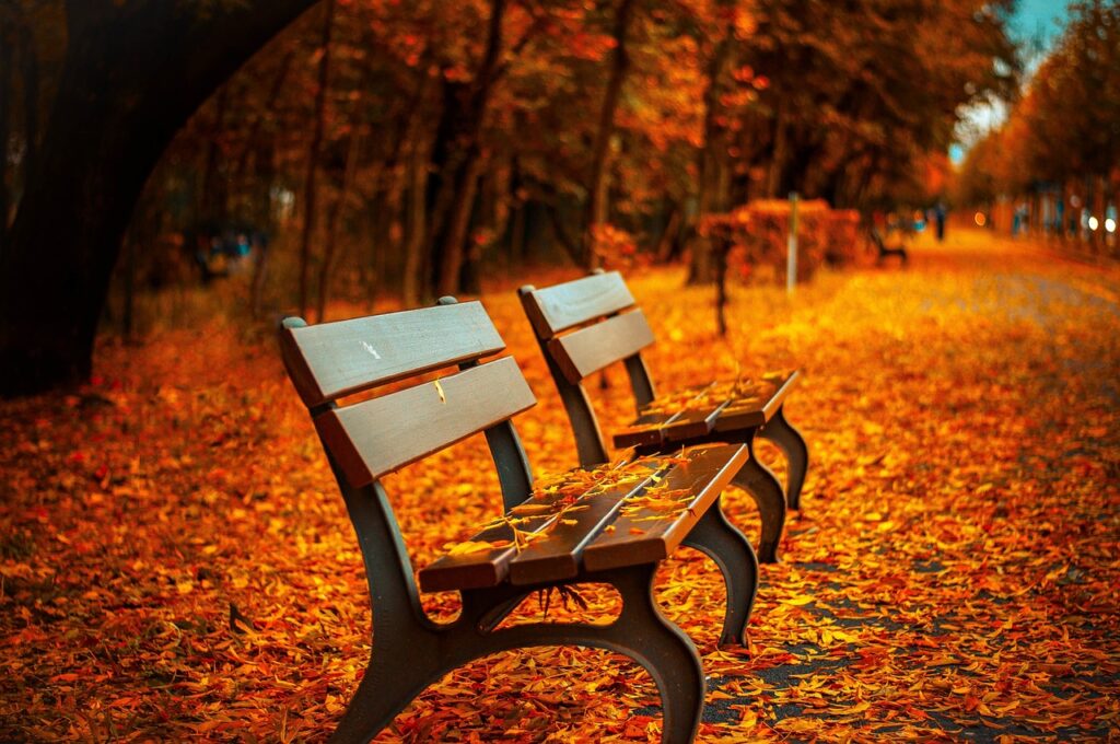 紅葉シーズンにぴったりな貸切湯の日帰りプランは？