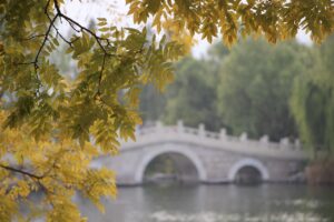 紅葉シーズンに楽しむ貸切露天風呂の宿特集は？