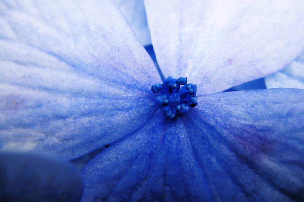 紅葉を楽しむための花束手配ができる宿はどこですか？