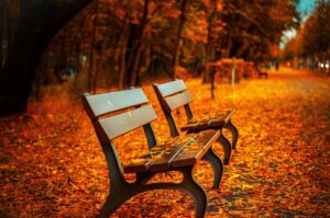 紅葉を楽しむカップルのための旅館持ち物リストは？