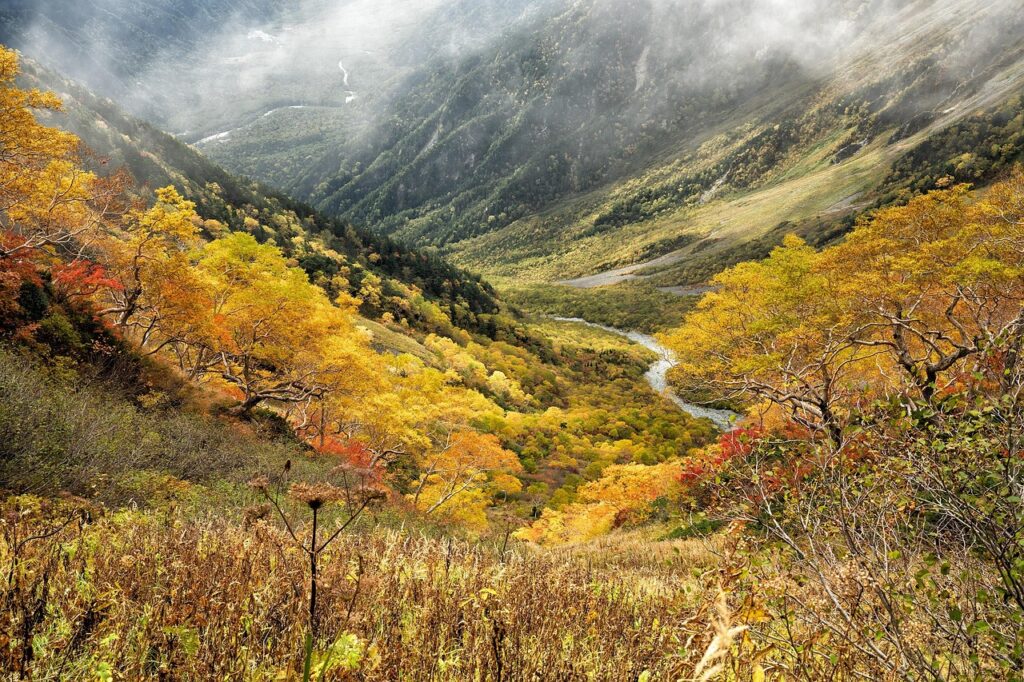 紅葉を楽しむ貸切風呂の入り方は初めてでも簡単？