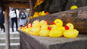 紅葉を楽しむ旅館で夜散歩できる温泉街はどこ？